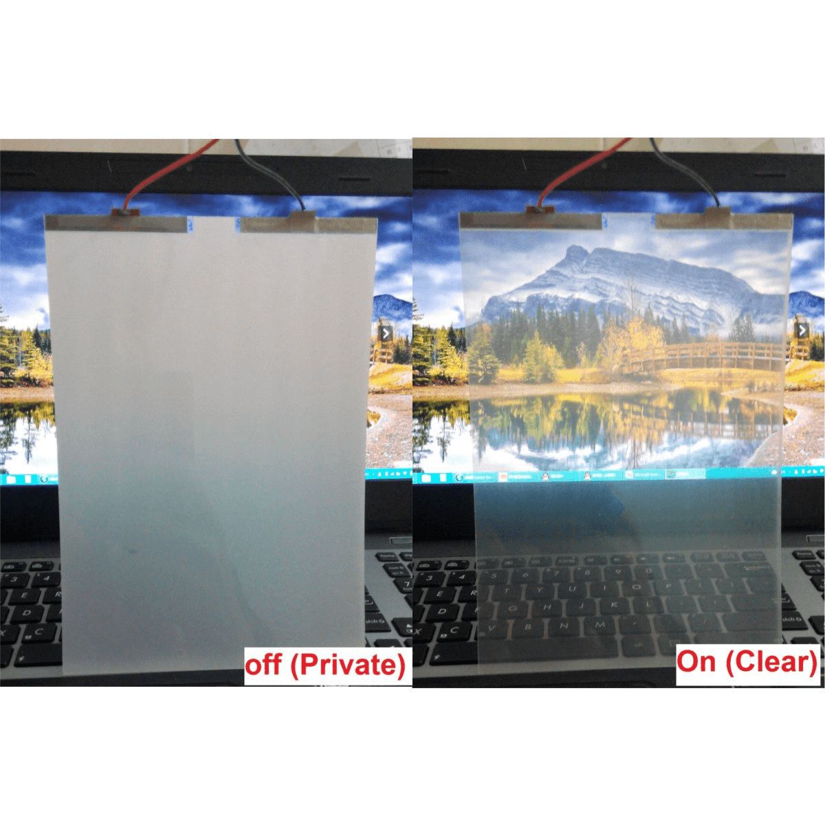 PDLC Film suppliers