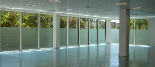 Polarize window tint
