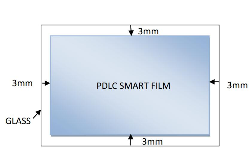 pdlc film 2021