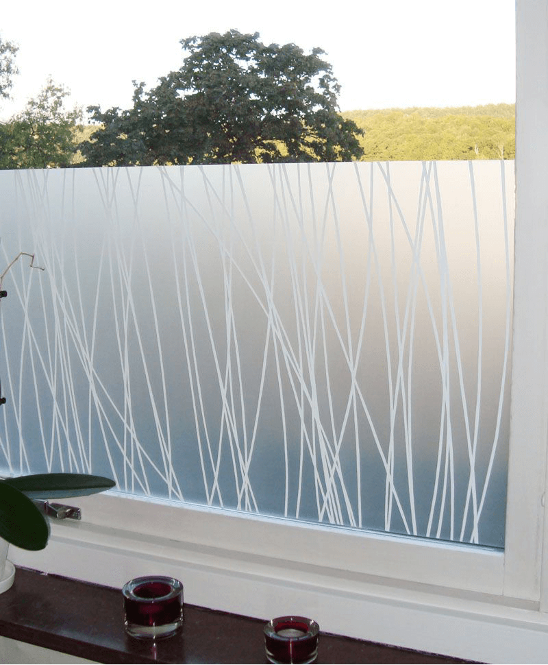 Window Privacy Film 2021